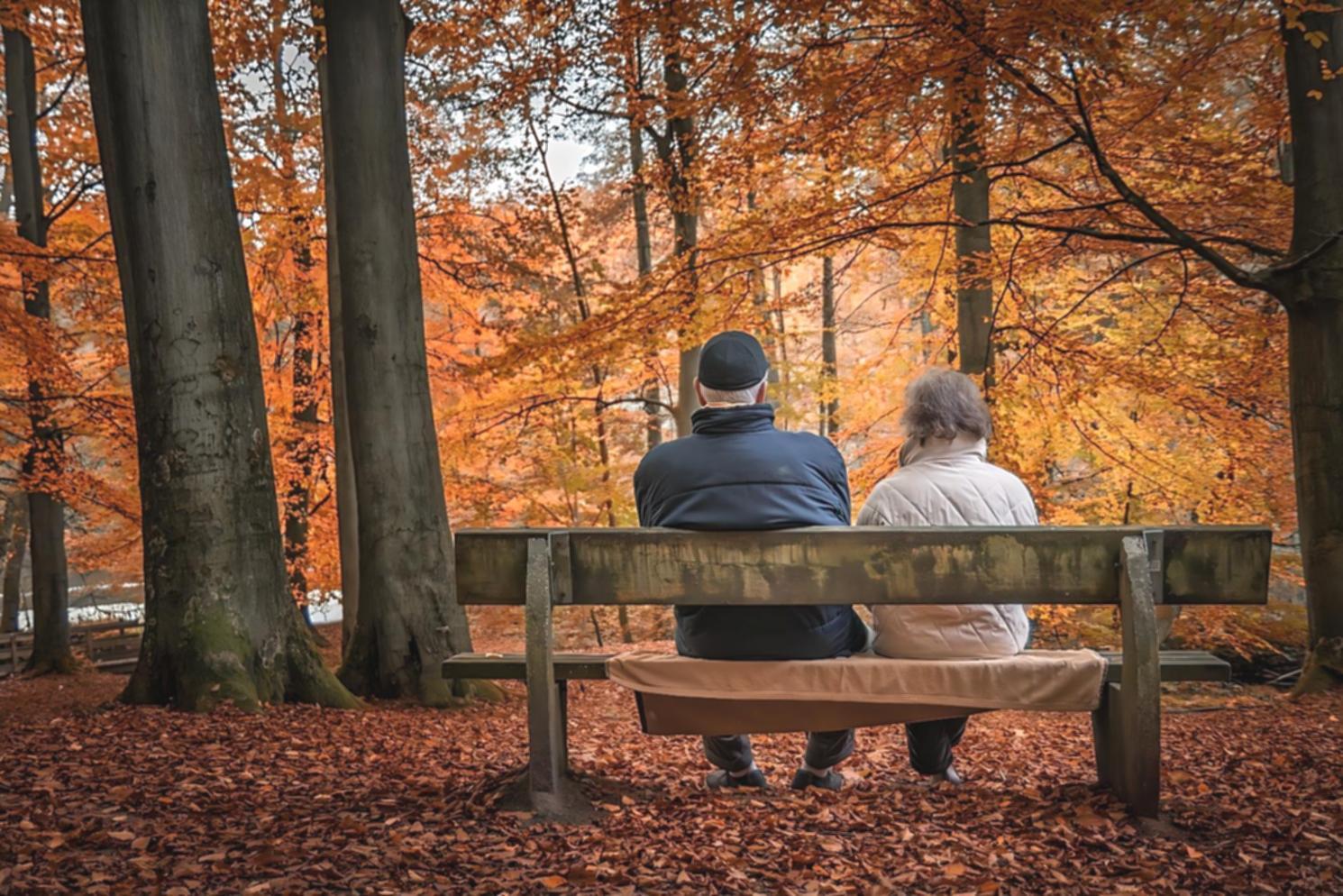 Care services location and consultation space